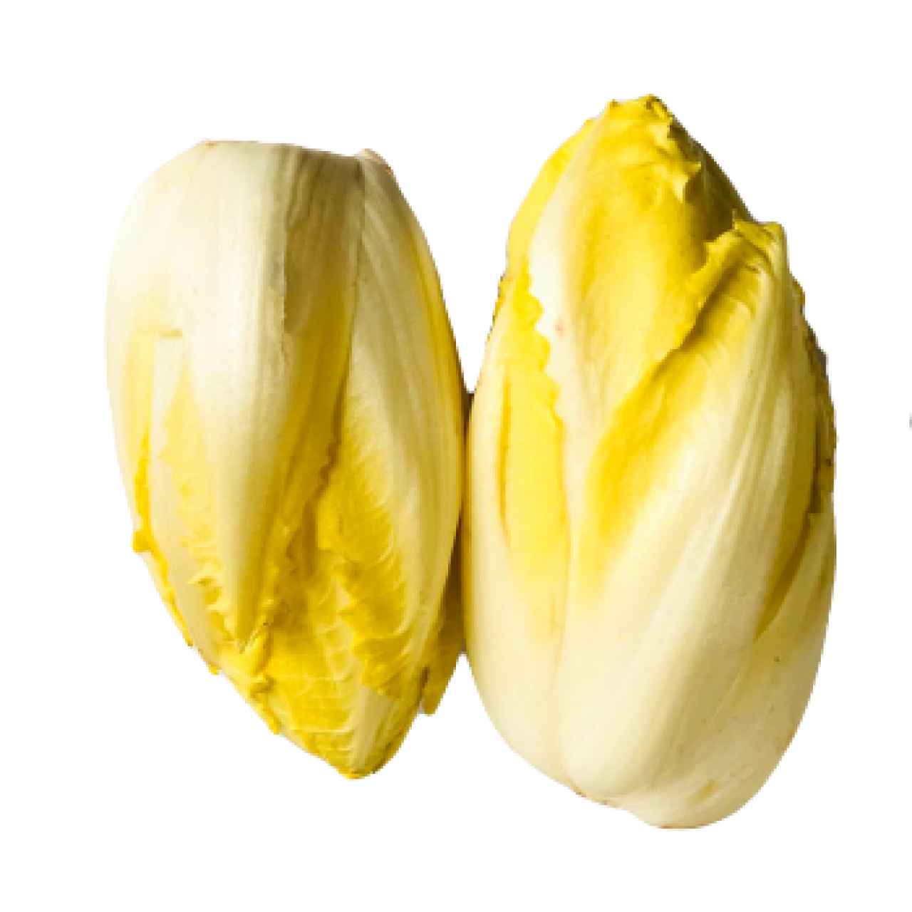 鲜白玉兰菜