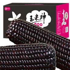 玉米神黑糯玉米棒10根新鲜粘黏...