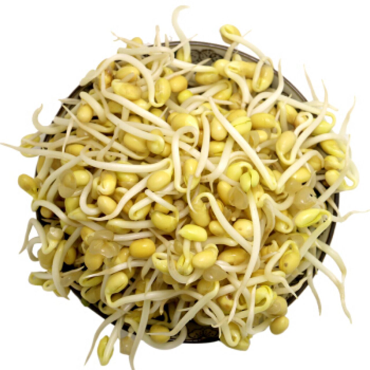 新鲜黄豆芽