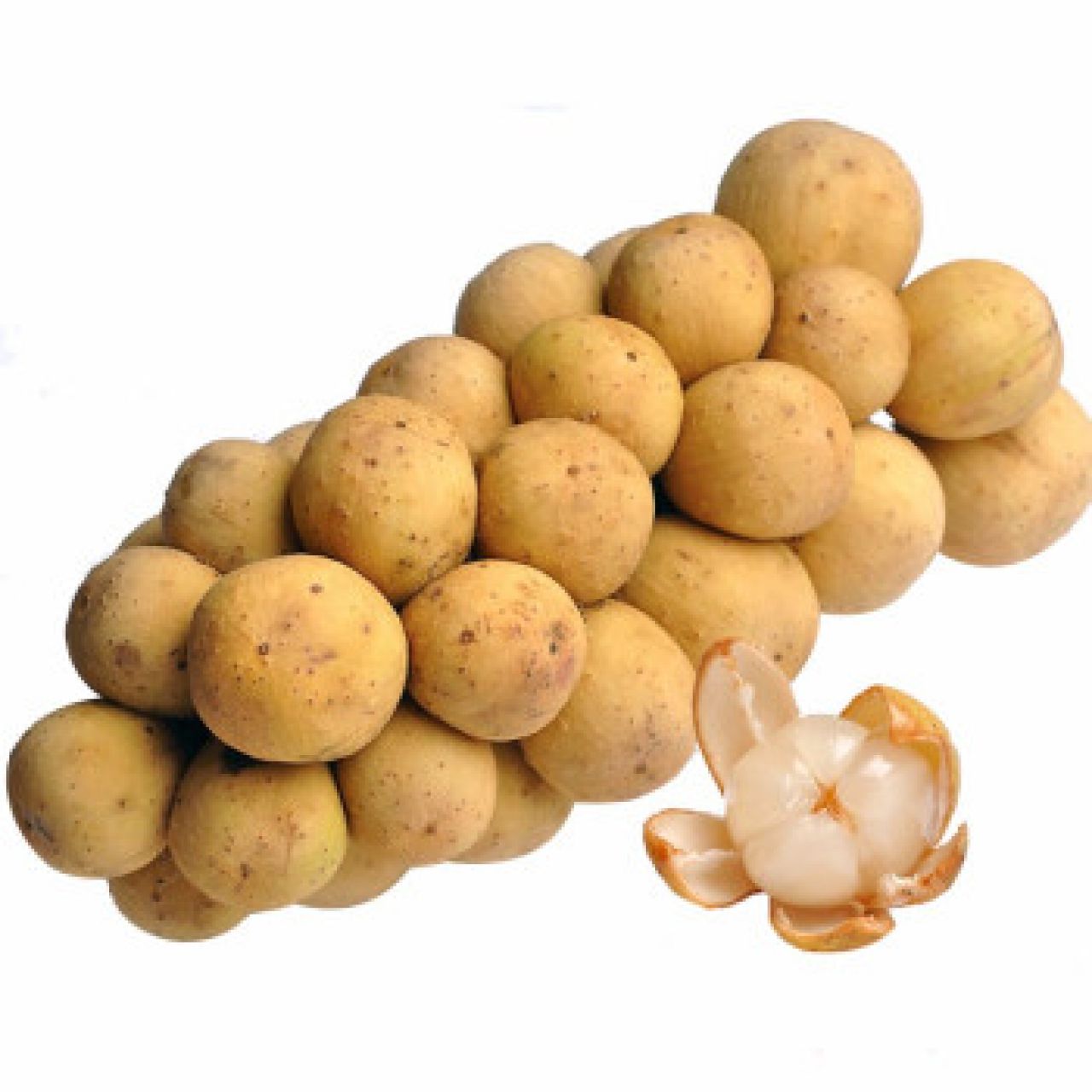 龙贡果