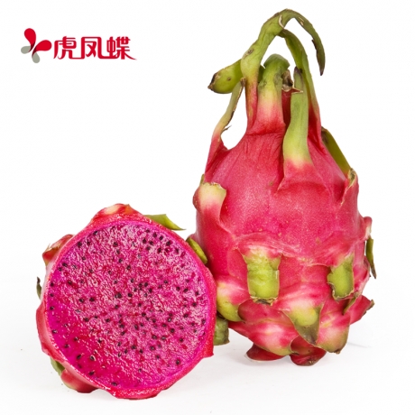 越南红心火龙果