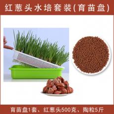 新鲜蔬菜新鲜香料 新鲜迷迭香1...